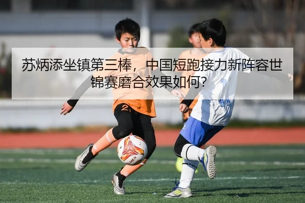 su-bing-tian-zuo-zhen-di-san-bang-zhong-guo-duan-pao-jie-li-xin-zhen-rong-shi-jin-sai-mo-he-xiao-guo-ru-he-2-844.jpg