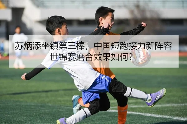 su-bing-tian-zuo-zhen-di-san-bang-zhong-guo-duan-pao-jie-li-xin-zhen-rong-shi-jin-sai-mo-he-xiao-guo-ru-he-3-289.jpg