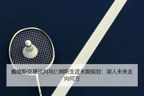 戴维斯交易谈判与詹姆斯生涯末期规划：湖人未来走向何方