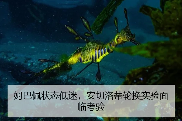 mu-ba-pei-zhuang-tai-di-mi-an-qie-luo-di-lun-huan-shi-yan-mian-lin-kao-yan-3-241.jpg