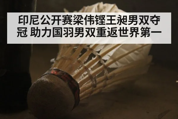 印尼公开赛梁伟铿王昶男双夺冠 助力国羽男双重返世界第一